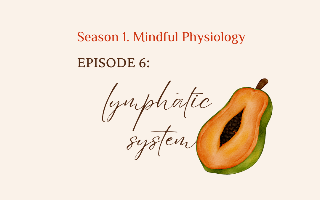 S1. Mindful Physiology EP. 6 Lymphatic System