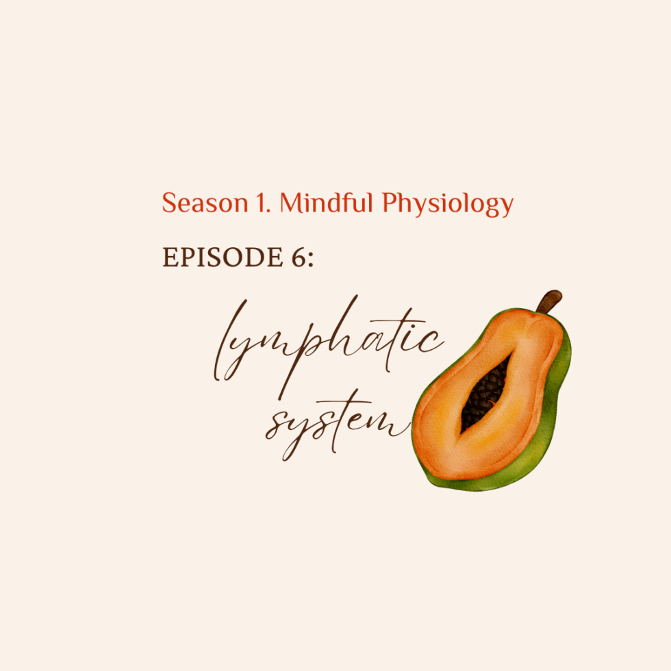 S1. Mindful Physiology EP. 6 Lymphatic System