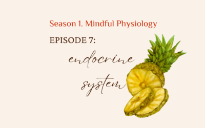 S1. Mindful Physiology EP. 7 Endocrine System