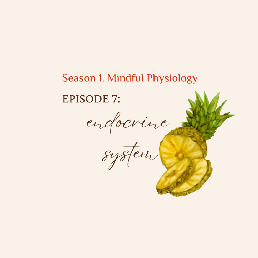 S1. Mindful Physiology EP. 7 Endocrine System
