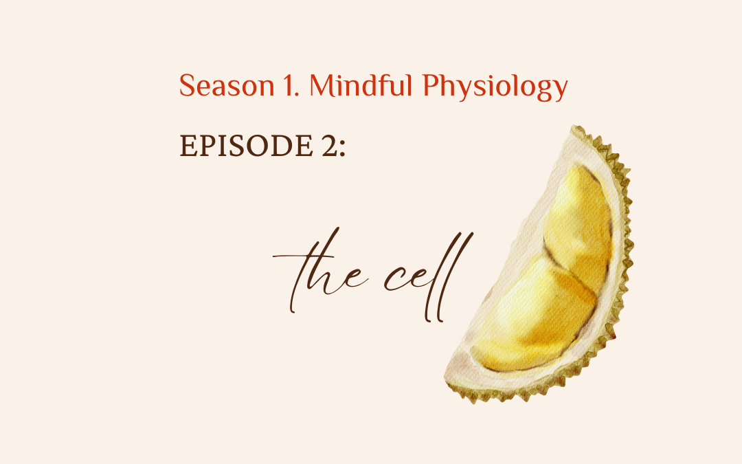 S1. Mindful Physiology. EP. 2 The Cell