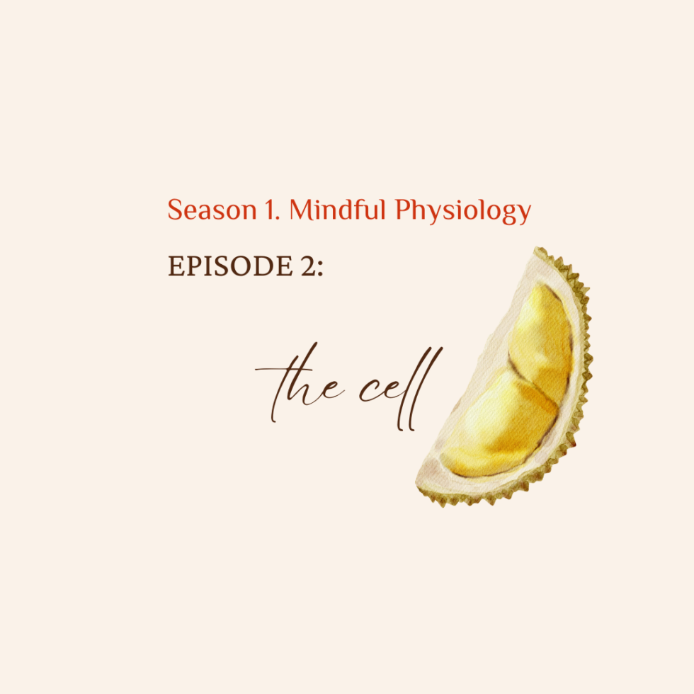 S1. Mindful Physiology. EP. 2 The Cell