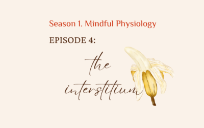 S1. Mindful Physiology. EP. 4 The Interstitium