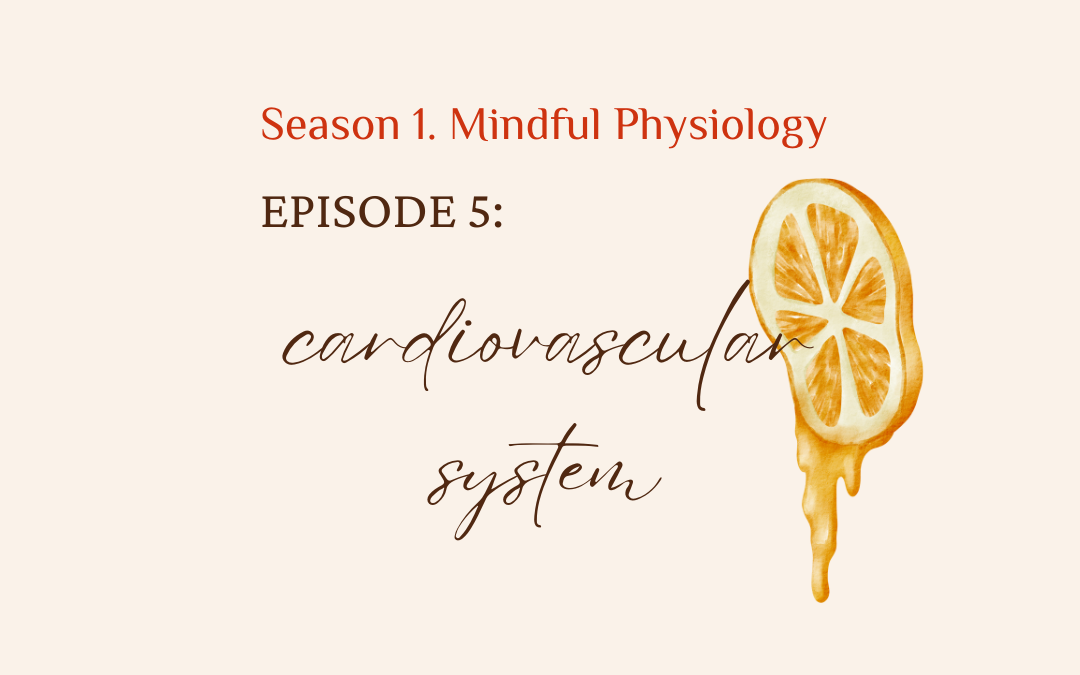 S1. Mindful Physiology EP. 5 Cardiovascular System