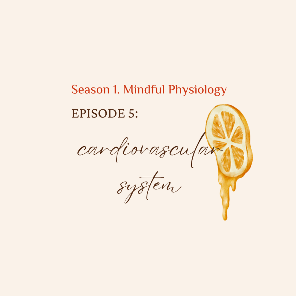 S1. Mindful Physiology EP. 5 Cardiovascular System
