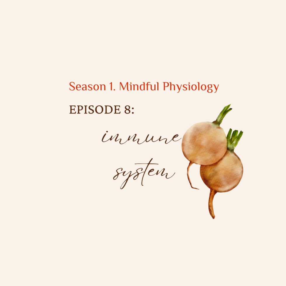 S1. Mindful Physiology EP. 8 Immune System
