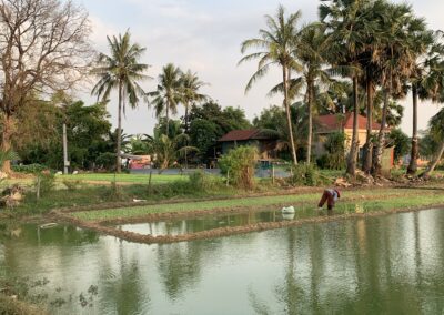 Village life surroundings